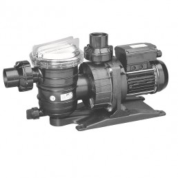 Pentair Swimmey 11.5 mc/h 220V